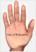 Palm Lines