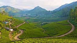 Theni