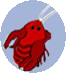 Cancer
