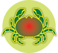 Kadagam
