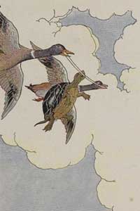Aesop Fables