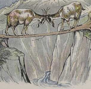 Aesop Fables