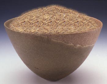 iranpu