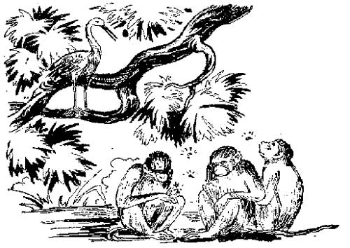 Panchathanthrak Kathaigal