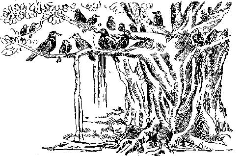 Panchathanthrak Kathaigal