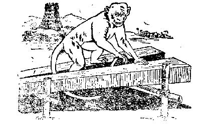 Panchathanthrak Kathaigal