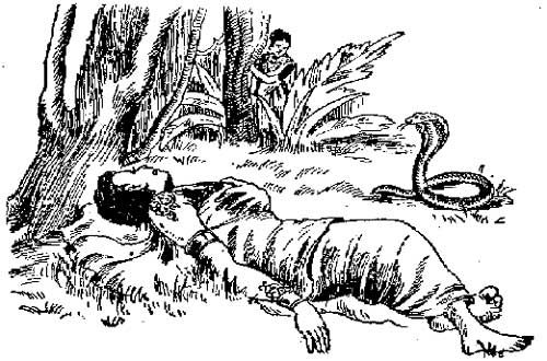 Panchathanthrak Kathaigal