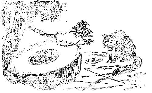 Panchathanthrak Kathaigal