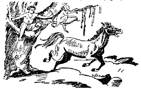 Panchathanthrak Kathaigal