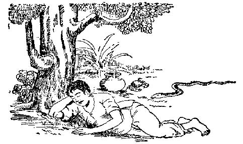 Panchathanthrak Kathaigal
