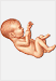 Child Care