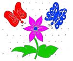 Kolam