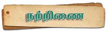 Narrinai Narrinai
