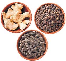Thirikadugam