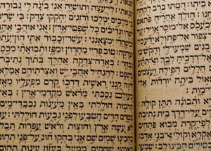 The Old Testament