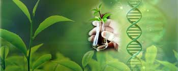 Biotechnology