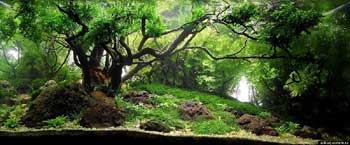 Ecology