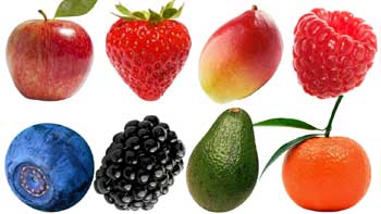 Fruit