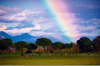 Climate and Weather