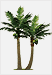 Botany