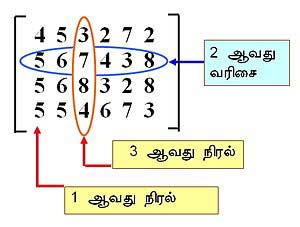 Matrix and Matrix Expression