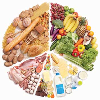 Food and Nutrition