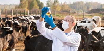 Veterinary Medicine