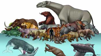 Zoology