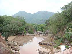 Amirthi Forest