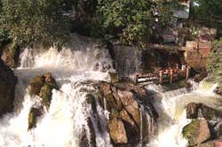 Hogenakkal
