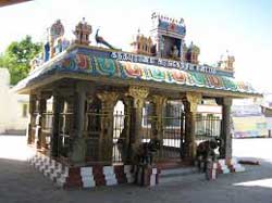 Kumara koddam