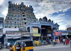Nellaiappar Temple