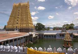 Sankara Narayanan Kovil