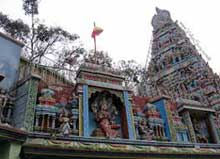 Thiruverkadu